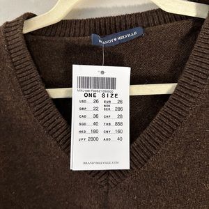 Brandy Melville Sweater Vest
